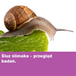 sluz_slimaka